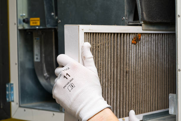 Best Local Air Duct Cleaning Services  in Zellwood, FL
