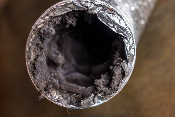 Best Emergency Air Duct Cleaning  in Zellwood, FL