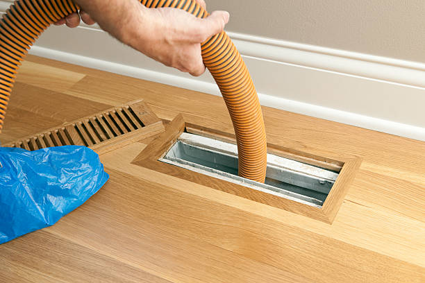 Best Duct Cleaning Specialists  in Zellwood, FL