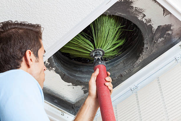 Best Best Air Duct Cleaning Company  in Zellwood, FL