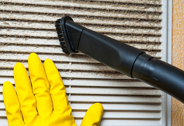 Best Air Vent Cleaning Services  in Zellwood, FL